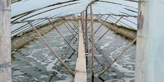 水產養殖中常見的那些增氧方式！