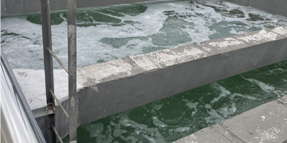 污水處理想省電選什么風機好？